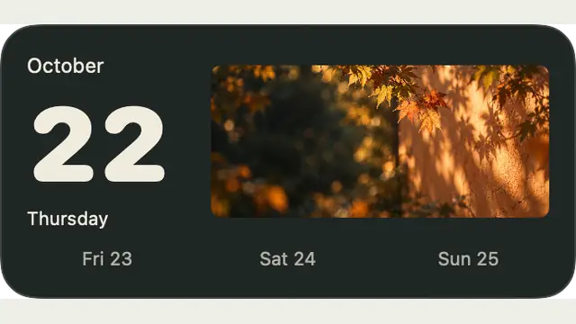 Date Specimen — widget preview with demo data