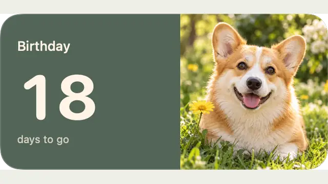 Birthday Archive — widget preview with demo data
