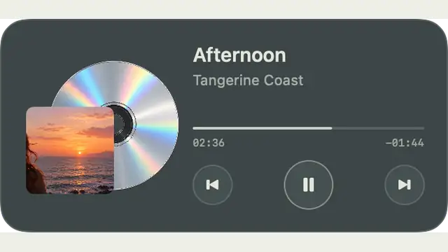 Compact Disc — widget preview with demo data