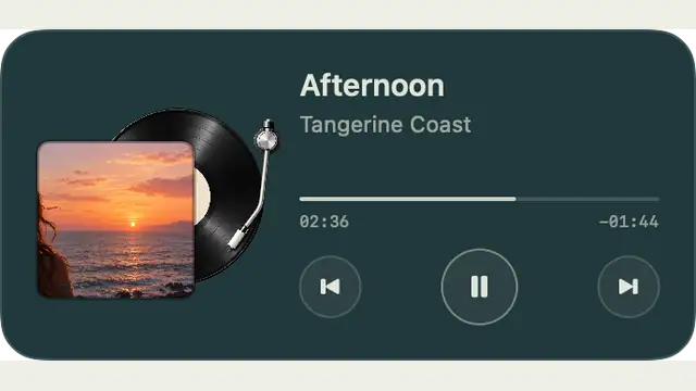 Vinyl Afternoon — widget preview with demo data