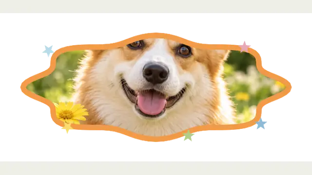 Doodle Pup — widget preview with demo data