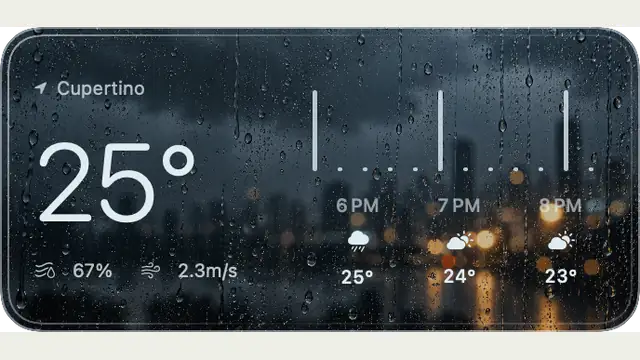 Rain Scale — widget preview with demo data
